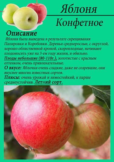 Карточка сорта