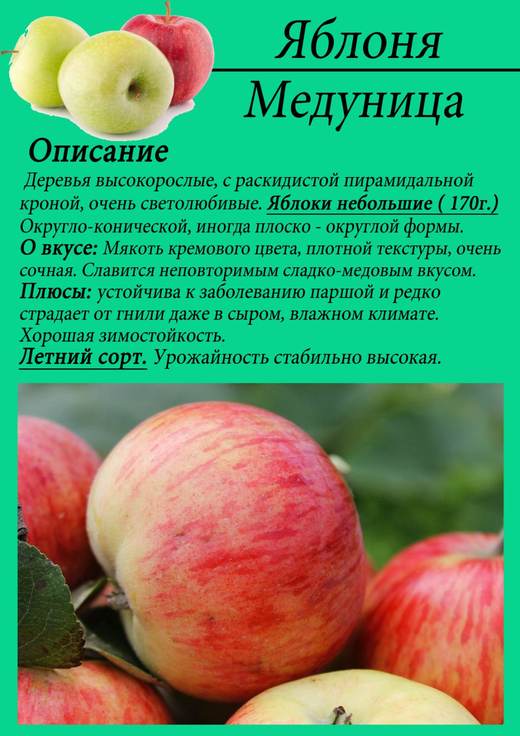 Карточка сорта